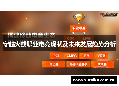 穿越火线职业电竞现状及未来发展趋势分析