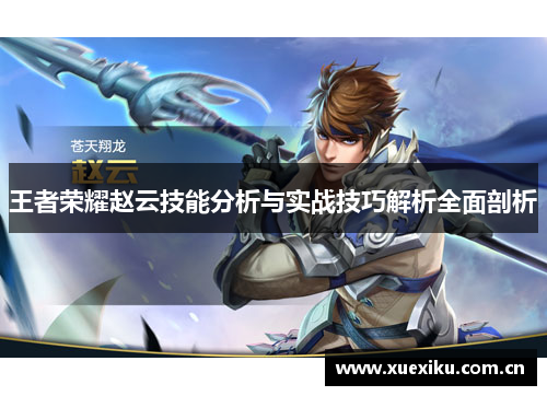 王者荣耀赵云技能分析与实战技巧解析全面剖析